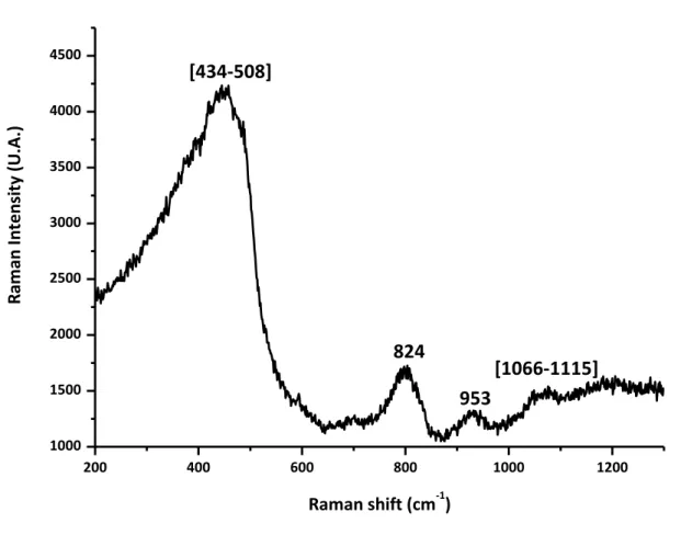 Figure III-11 : spectre µRaman du verre de la cellule anoxique  Les sulfures en µRaman (Tableau III-11) 