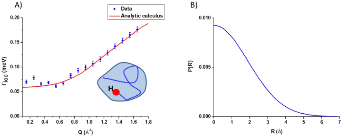 Figure 1.30: A) Trend of Γ loc versus Q due to diffusion of the cation inside the aggregate (shown in the inset)
