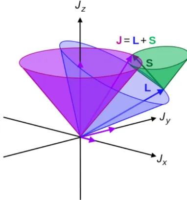 Figure 16 : Scheme of orbital and spin angular momenta and the spin-orbit coupling J.