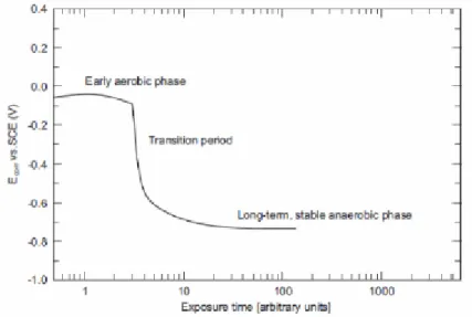 Figure 6 : variation du potentiel en fonction du temps du site de stockage (King 2008)  1.3.2  Réactions électrochimiques 