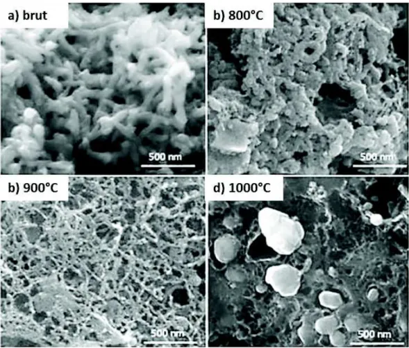 Figure I. 21 : Clichés MEB du PANI brut a) et recuit à 800°C b) 900°C c) et 1000°C d) issu de  102 