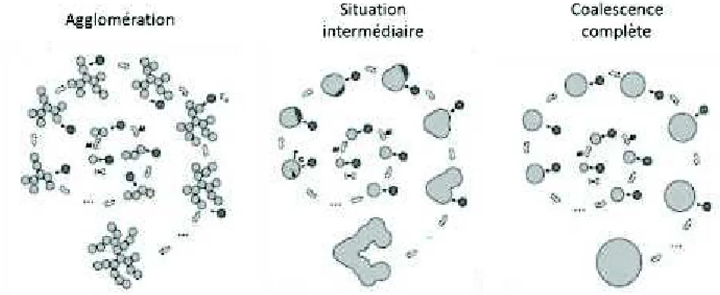Figure I. 40: Régimes d’agglomération, intermédiaire et de coalescence complète, d’après R