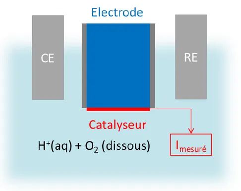 Figure 6. Schématisation de la RDE pour étudier l’activité électrocatalytique d’un catalyseur pour l’ORR
