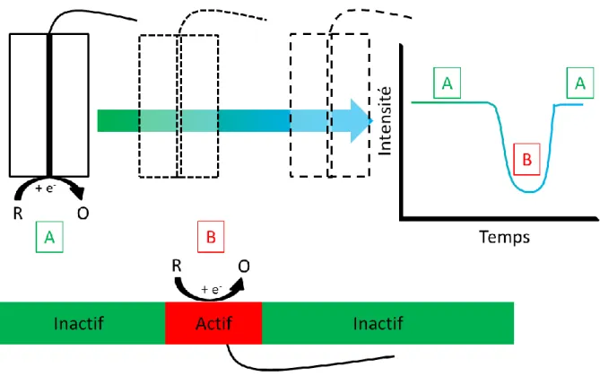 Figure 9. Schéma du mode Redox Competition mettant en évidence le comportement à la sonde d’une zone inactive (A) et  d’une zone active (B)