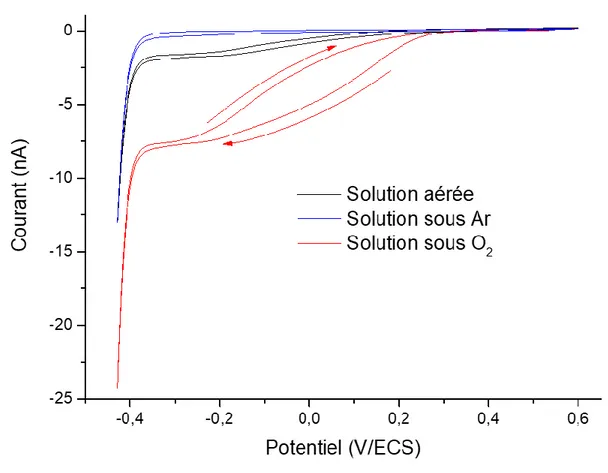Figure 10. CV dans  H 2 SO 4  0,1 M de -0,43 à 0,6 V/ECS à l’air (courbe noire), sous argon (courbe bleue) et sous oxygène  (courbe rouge) avec v = 10 mV/s d’une sonde de platine de 5 µm de rayon avec une électrode de référence au calomel  saturée (ECS) et