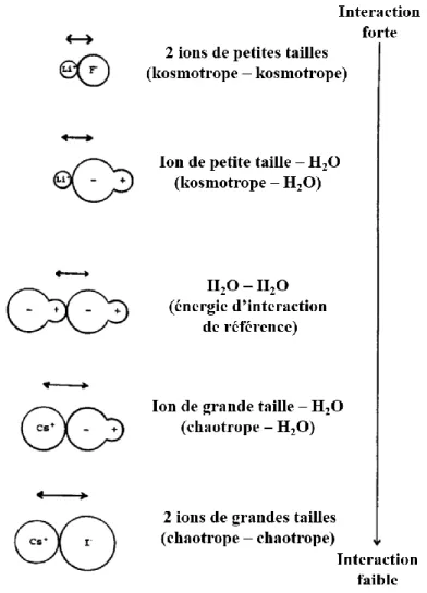 Figure 1.3 – Représentation générale du classement des différentes interactions  bimoléculaires entre les ions kosmotropes, chaotropes et des molécules d’eau, classées des 