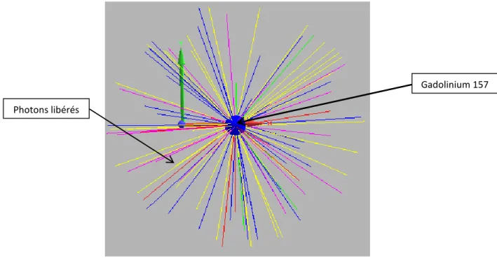 Figure I.5 : Configuration simulée au moyen du code MCNPX2.6.0 pour l’estimation du terme source  photonique de la librairie ENDF/B-VII.0 (Moritz 1.23)