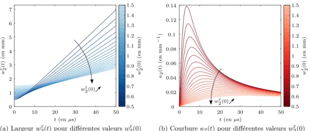 Figure 2.4 – Évolution des demi-largeurs et courbures d’un paquet d’onde gaussien en dimension d = 2