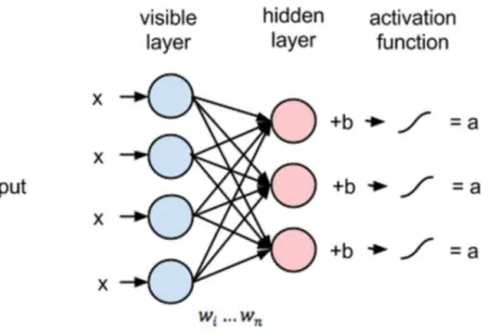 Figure 4.5: Restricted Boltzman Machine representation. Hidden layer h is densely connected to visible layer v by the weight matrix W.