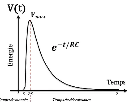 Figure 1-5 : Impulsion de tension typiquement rencontrée dans les mesures de radioactivité