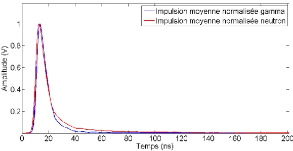 Figure 1-13 : Moyennes normalisées des impulsions neutron et gamma obtenues à l’aide d’une source  252 Cf  sur scintillateur BC-501A