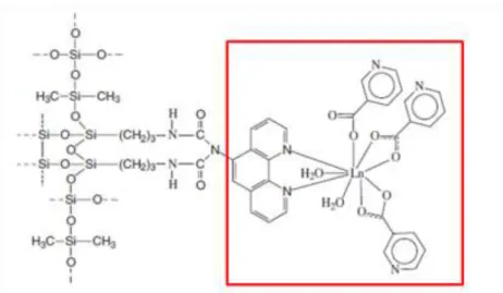 Figure  32.  Formation  d'un  complexe  ternaire  entre  Tb 3+ ,  l'acide  nicotinique  et  le  dérivé  de  la  1,10  phénanthroline [3]