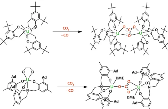 Figure  I.9.  Mercury  diagram  of  the  solid-state  molecular  structure  of  the  bridging  carbonate  uranium  complex [{(( t-Bu ArO) 3 mes)U} 2 (μ-η 2 :η 2 -CO 3 )]