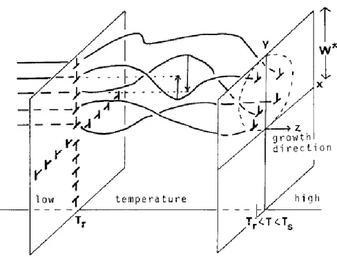 Figure 1. 15. Schéma de la réorganisation des dislocations proches de l'interface solide-liquide (à droite) en sous- sous-joints de grains (à gauche) derrière l’interface solide liquide [Kuroda74] 