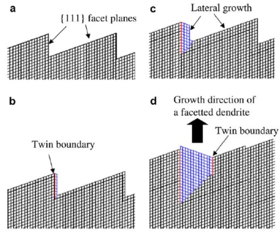 Figure 1. 19. Apparition et développement d'une micromacle dans le cas d'une croissance facettée [Fujiwara07] 
