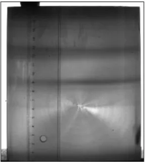Figure 2. 5. Image en transmission infrarouge de la brique (15,6x15,6 cm 2 ) rectifiée du lingot GAIA 89