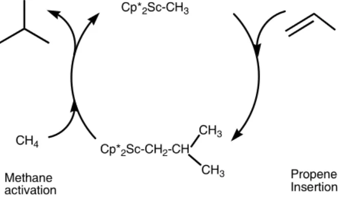 Figure 1.  Postulated mechanism for the hydromethylation  of propene 