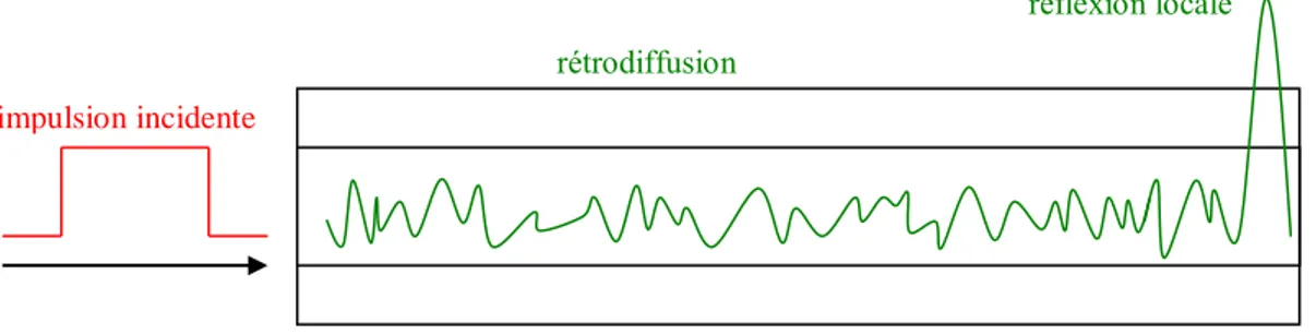 Figure 1.8 – Structure de la lumière rétro-réfléchie : diffusion de Rayleigh et pic de réflexion en fin de fibre 