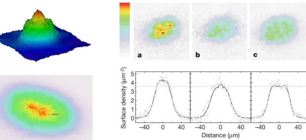 Figure 2.4: Density profile of cold bosons in a two-dimensional lattice at strong interactions in the experiment of the Chicago group [150]