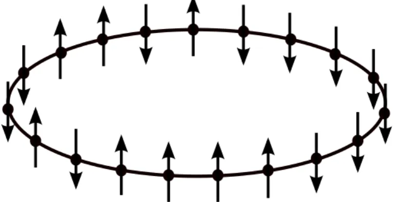 Figure 1.1 – The spin chain.