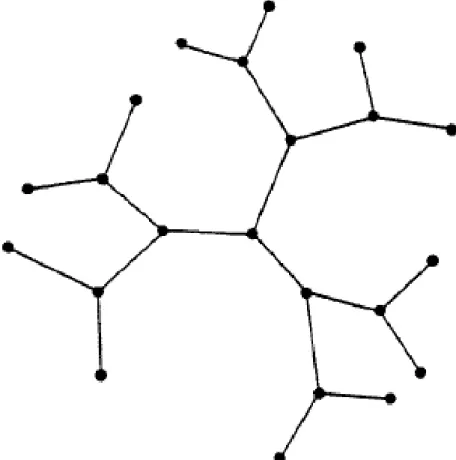 Figure II.1: Bethe lattice with connectivity k + 1 = 3.