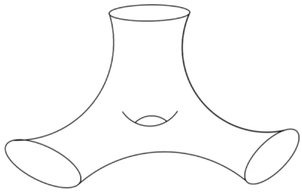 Figure 1 – Un exemple de surface de Schottky.