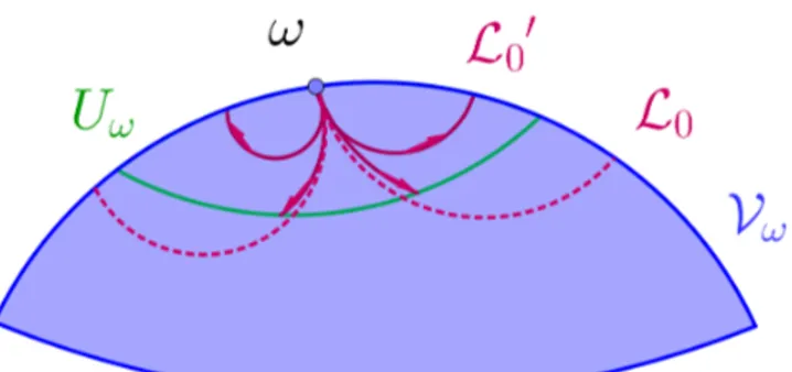 Figure 3.3 – Les vari´ et´ es lagrangiennes L 0 0 et L 0 pour une vari´ et´ e hyperbolique pr` es de l’infini.