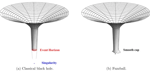 Figure 2: The Fuzzball proposal and the schematic description of the two-dimensional embedding of the classical black hole as an average description of “e S ” smooth fuzzballs.