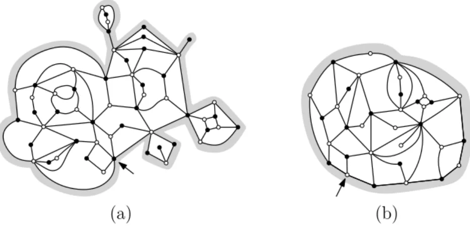 Figure I.3 – (a) Une carte bipartie avec un bord général, et des faces internes de degrés 2, 4 et 6