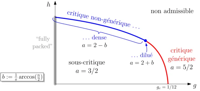Figure I.4 – Diagramme de phase du modèle des O(n)-quadrangulations pour une valeur donnée de n ∈ (0, 2)
