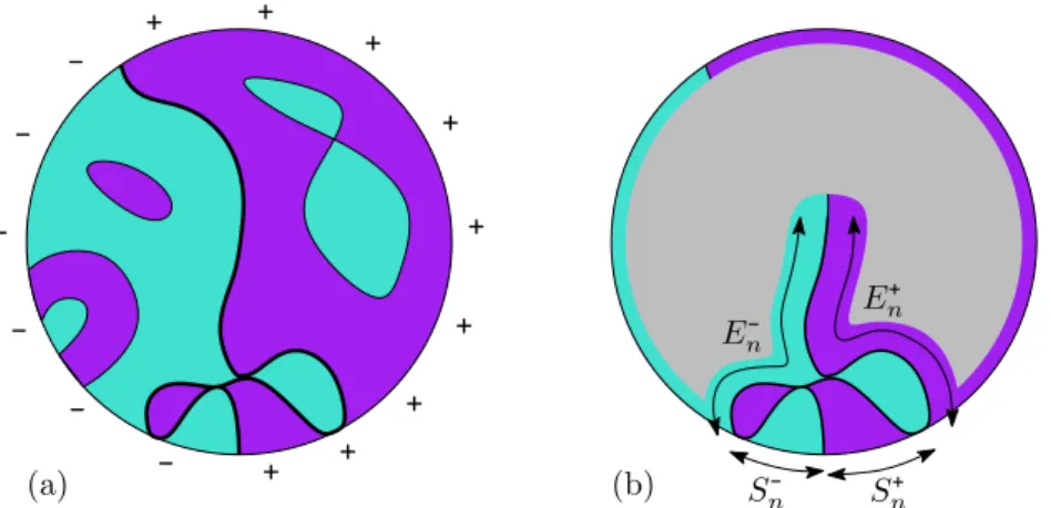Figure I.6 – (a) Une triangulation décorée par le modèle d’Ising avec une condition au bord de Dobrushin
