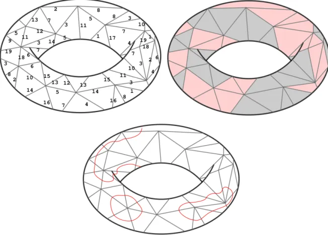 Figure 10: Three examples of decorations on a triangulation of the torus. In the first case, an integer (between 1 and 19) is associated to each edge, in the second case, each face has a color, and in the third case, a system of non intersecting (red) loop
