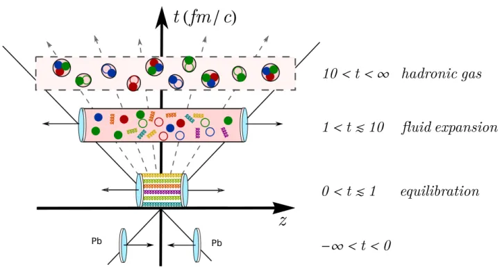 Figure 2.8: Main features of the evolution of a heavy-ion collision. See the text for a detailed discussion