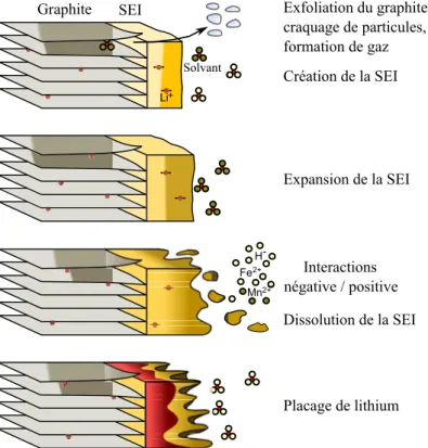 Figure 1.12 – Formation et développement de la SEI lors de la vie d’une batterie [35]
