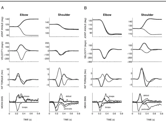 Figure 4.5: Relev´ es EMG pour des mouvements simultan´ es coude-´ epaule : sens oppos´ es (A) et mˆ eme sens (B) (image tir´ ee de [Gribble 1999])