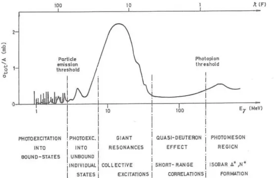Figure 1.12 : Section efficace photonucléaire totale par nucléon en fonction de l’énergie du  photon ou de sa longueur d’onde réduite [Findlay90]