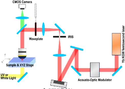 Figure 10 Experimental Setup Schematic for Direct Laser Writing; fs laser, Acousto-Optic  Modulator, Spatial Light Modulator, and XYZ stage