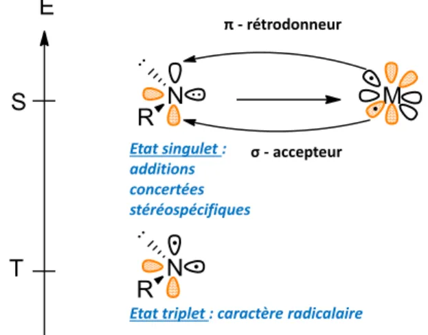 Figure 2 : Réactivité du nitrène singulet et triplet 61