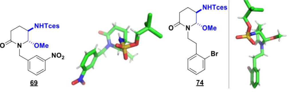 Figure 13 : Analyse RX des composés 69 et 74 démontrant la relation trans entre les substituants en C 2  et C 3