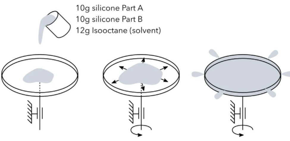 Fig. 3.2. Schematics of the spin-coating process, to manufacture thin DE membrane from Nusil CF19-2186 silicone.