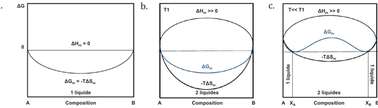 Figure 1.8 : Evolution de l’enthalpie libre de mélange, (a) d’une solution idéale, (b) et (c) d’une solution instable en  fonction de la variation de l’entropie du système