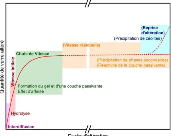 Figure 1.1 - Représentation schématique des mécanismes prépondérants et des cinétiques induites  au cours de l’altération du verre (Gin, Angeli, et al