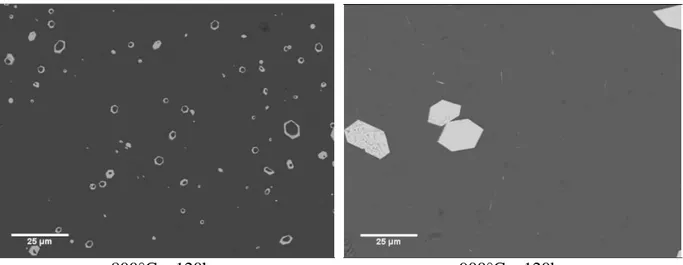 Figure 27 : Morphologie des apatites dans le verre S à 800°C et 900°C traité pendant 120 h – images  MEB tirées de Delattre (2014)