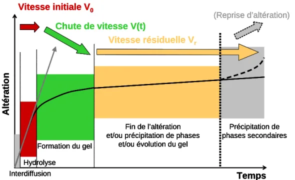 Figure I -  6 : évolution de la concentration en bore, traceur de l'altération en mode statique