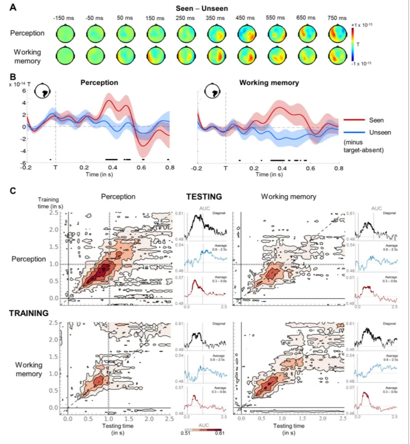 Figure 3. Neural signatures for conscious perception and maintenance in working memory