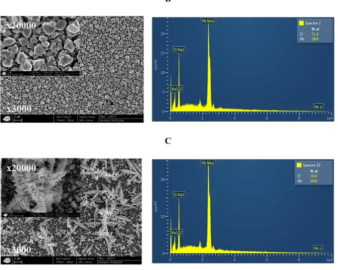 Figure 3: SEM observations and analyzes by EDS of the adherent thin films obtained after the  electrochemical treatment of a lead solution ([Pb(II)] = 27 mg