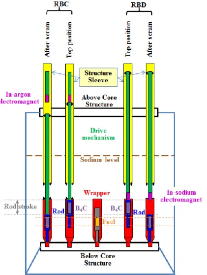 FIG. 2. Absorber-Rod / Driven-Mechanism connection differences between RBC and RBD    This  feature  implies  that,  as  regards  scram  situations,  the  RBC,  contrary  to  the  other  2  systems, is susceptible to mechanical coupling between the above-c