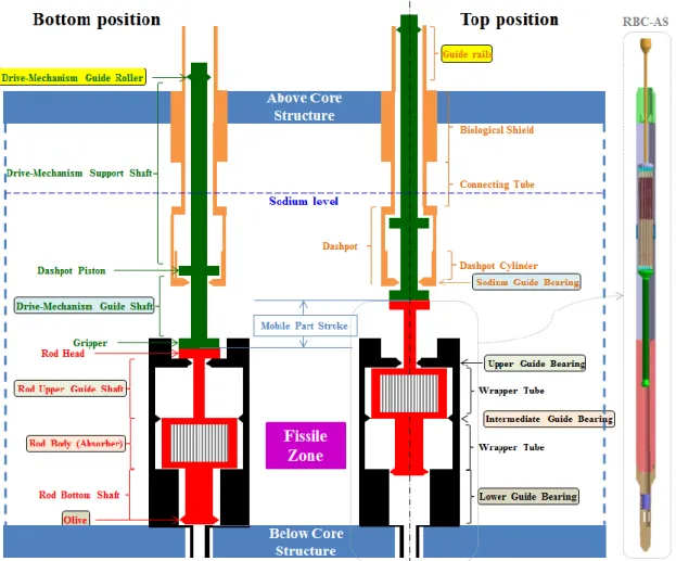 FIG. 4. RBC reference configuration