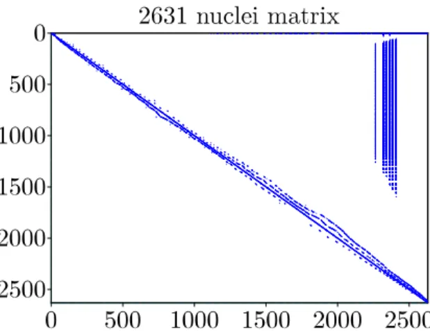 Fig. 1. Position of non zero coe ffi cients in the MENDEL 2631 nuclei depletion matrix