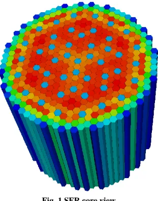 Fig. 1 SFR core view 